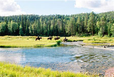 Finland-Finland-Sami Wilderness Trail